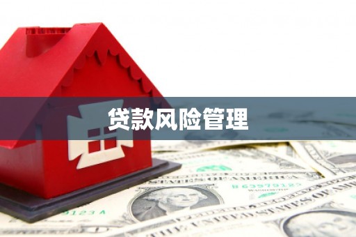 汤原贷款风险管理