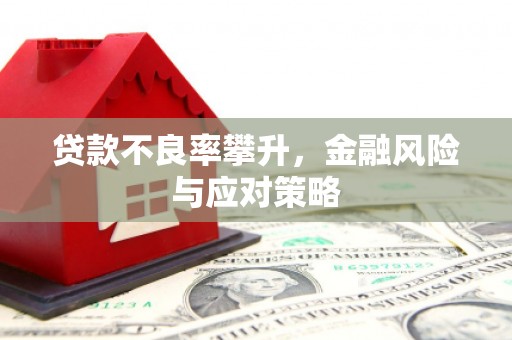 汤原贷款不良率攀升，金融风险与应对策略