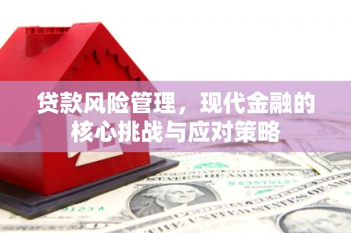 汤原贷款风险管理，现代金融的核心挑战与应对策略