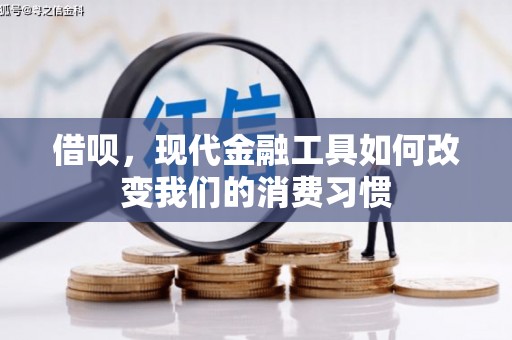 汤原借呗，现代金融工具如何改变我们的消费习惯