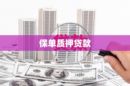汤原保单质押贷款