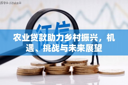 汤原农业贷款助力乡村振兴，机遇、挑战与未来展望