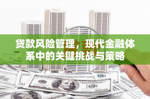 汤原贷款风险管理，现代金融体系中的关键挑战与策略