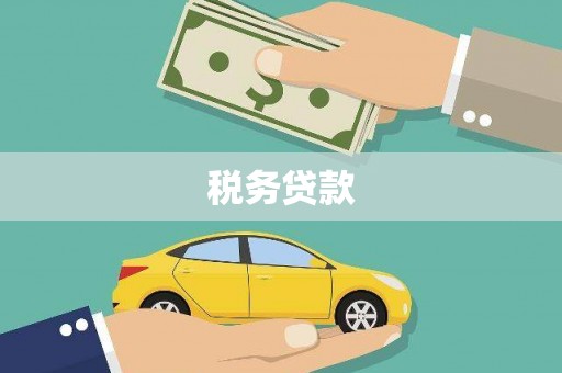 汤原税务贷款