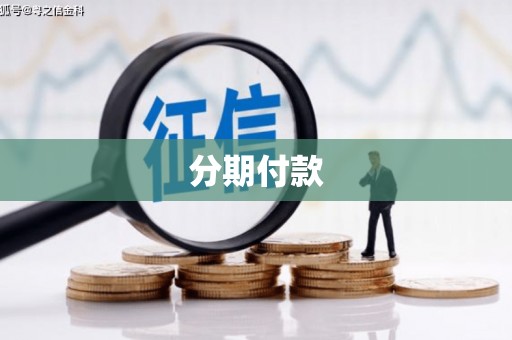 汤原分期付款
