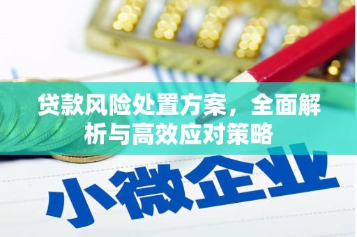 汤原贷款风险处置方案，全面解析与高效应对策略