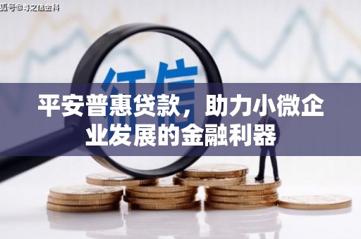 汤原平安普惠贷款，助力小微企业发展的金融利器