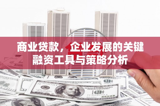 汤原商业贷款，企业发展的关键融资工具与策略分析