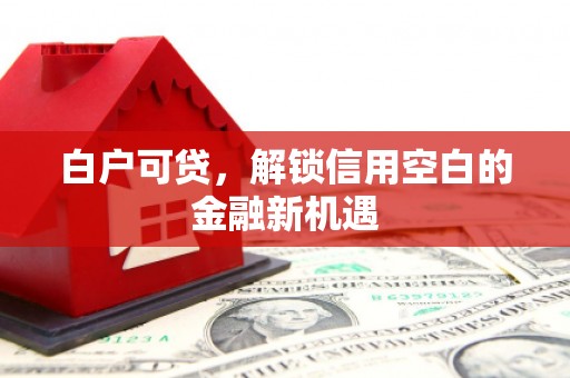 汤原白户可贷，解锁信用空白的金融新机遇