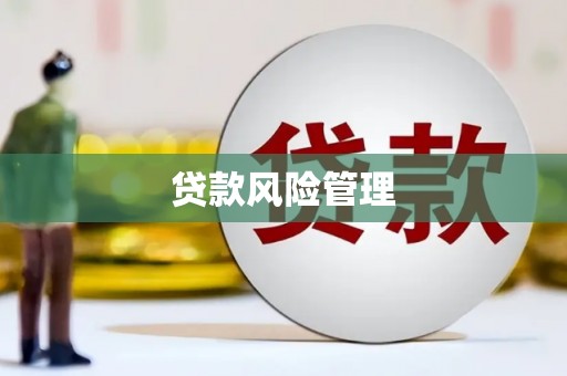 汤原贷款风险管理