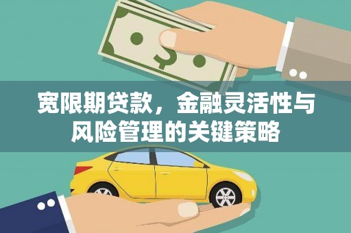 汤原宽限期贷款，金融灵活性与风险管理的关键策略
