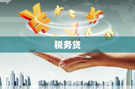 汤原税务贷