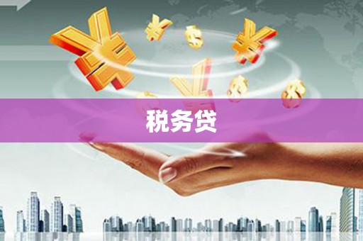 汤原税务贷