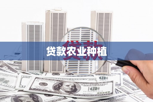 汤原贷款农业种植