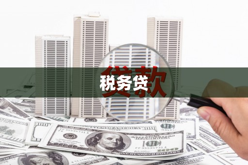汤原税务贷