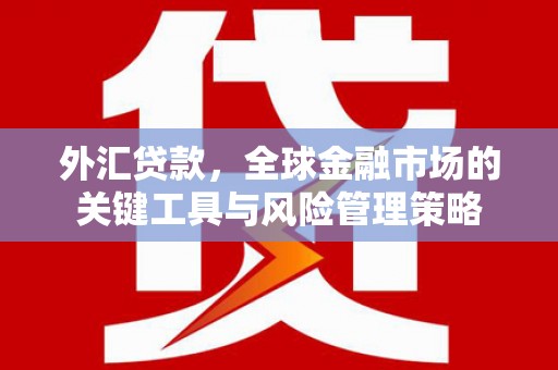 汤原外汇贷款，全球金融市场的关键工具与风险管理策略