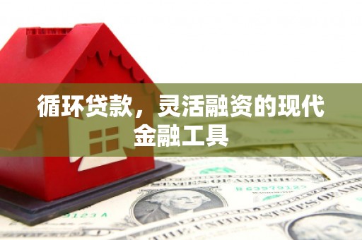 汤原循环贷款，灵活融资的现代金融工具