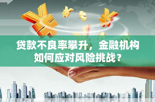 汤原贷款不良率攀升，金融机构如何应对风险挑战？