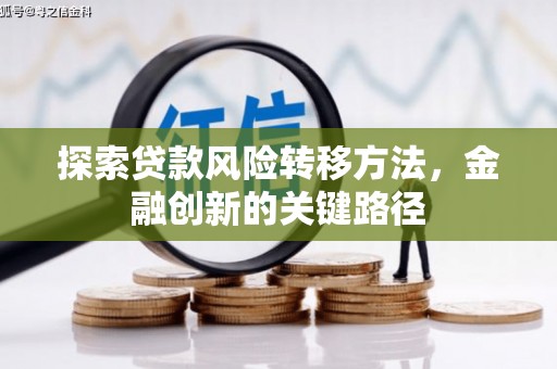 汤原探索贷款风险转移方法，金融创新的关键路径