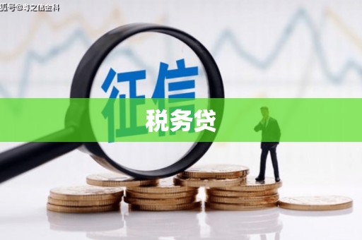 汤原税务贷