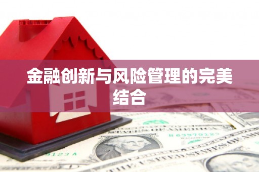汤原金融创新与风险管理的完美结合