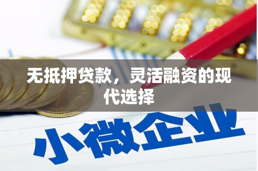 汤原无抵押贷款，灵活融资的现代选择