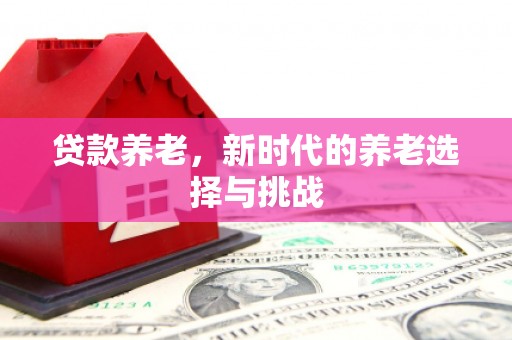 汤原贷款养老，新时代的养老选择与挑战
