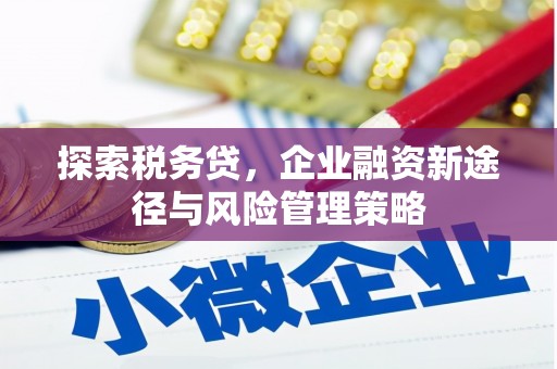 汤原探索税务贷，企业融资新途径与风险管理策略