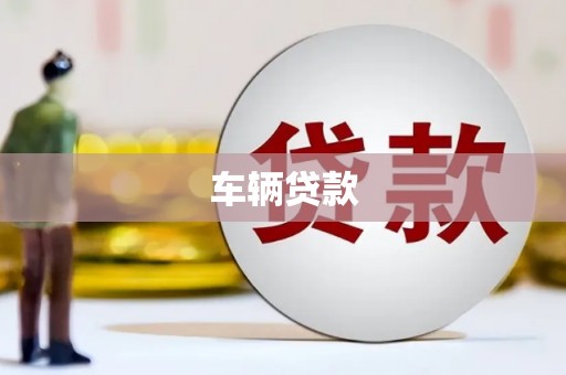 汤原车辆贷款