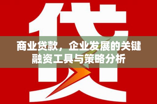 汤原商业贷款，企业发展的关键融资工具与策略分析