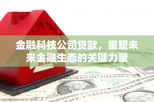 汤原金融科技公司贷款，重塑未来金融生态的关键力量