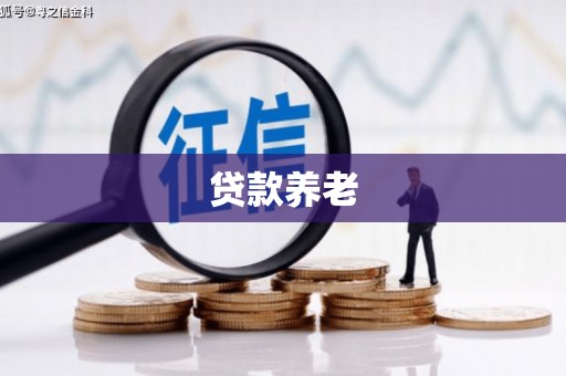 汤原贷款养老