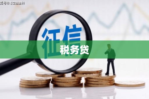汤原税务贷