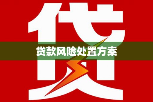 汤原贷款风险处置方案