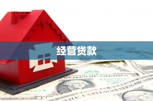 汤原经营贷款