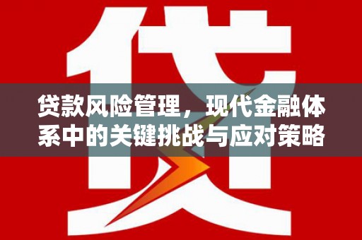 汤原贷款风险管理，现代金融体系中的关键挑战与应对策略