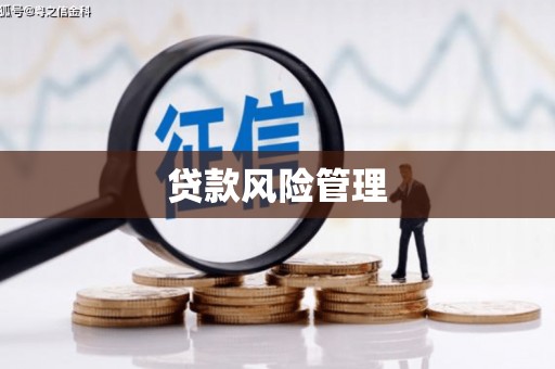 汤原贷款风险管理
