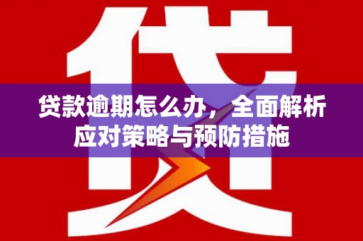 汤原贷款逾期怎么办，全面解析应对策略与预防措施