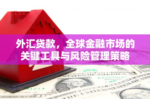 汤原外汇贷款，全球金融市场的关键工具与风险管理策略