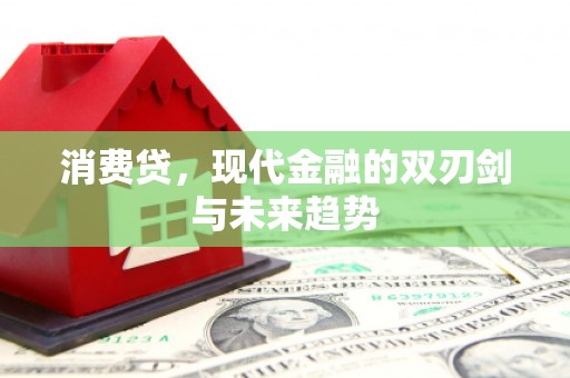 汤原消费贷，现代金融的双刃剑与未来趋势