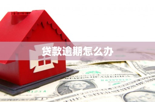 汤原贷款逾期怎么办