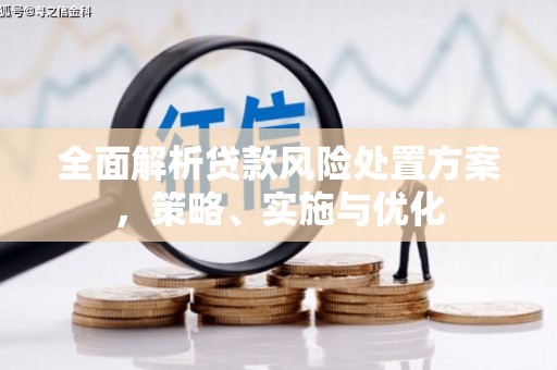 汤原全面解析贷款风险处置方案，策略、实施与优化