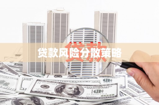 汤原贷款风险分散策略