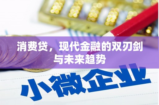 汤原消费贷，现代金融的双刃剑与未来趋势