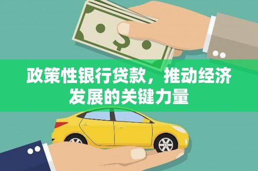汤原政策性银行贷款，推动经济发展的关键力量