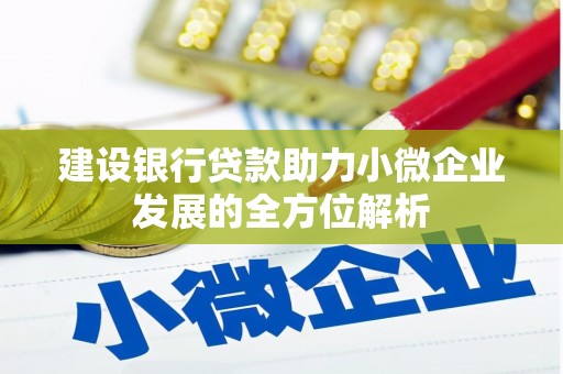 汤原建设银行贷款助力小微企业发展的全方位解析
