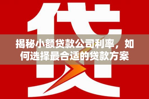 汤原揭秘小额贷款公司利率，如何选择最合适的贷款方案