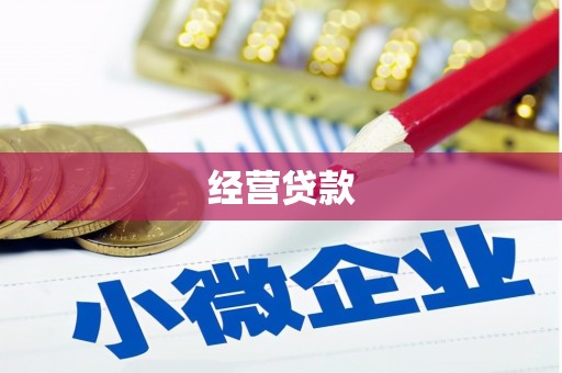 汤原经营贷款
