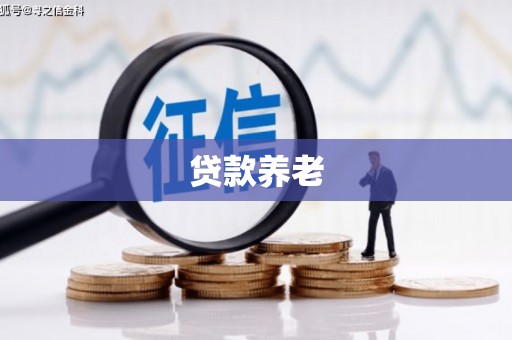 汤原贷款养老
