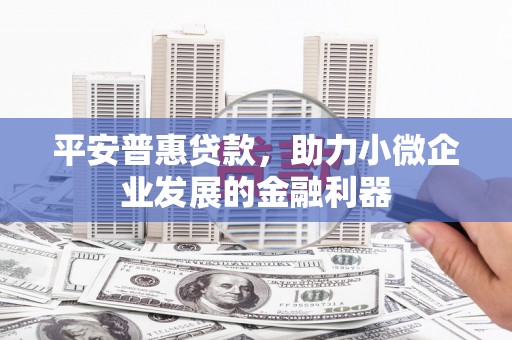 汤原平安普惠贷款，助力小微企业发展的金融利器